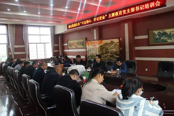 隴運(yùn)集團(tuán)公司召開“不忘初心、牢記使命”主題教育黨支部書記培訓(xùn)會